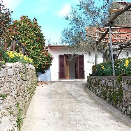 Apartament Mon Reve 2 Pianillo Zewnętrze zdjęcie